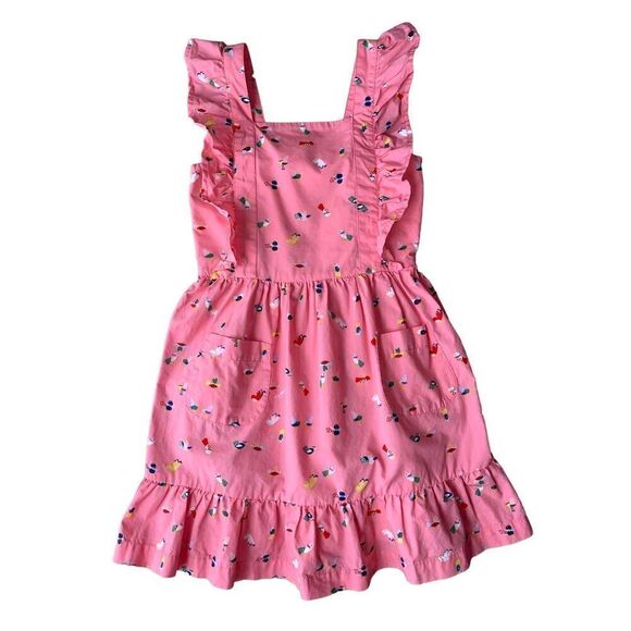 Hanna Andersson Pink Bird Print Apron Style Dress - Picture 1 of 12